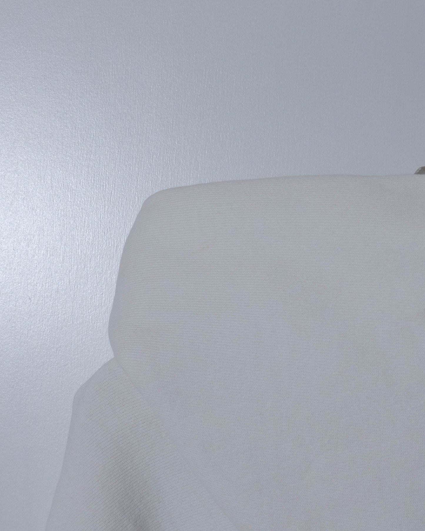 "Champion" REVERSE WEAVE college hoodie