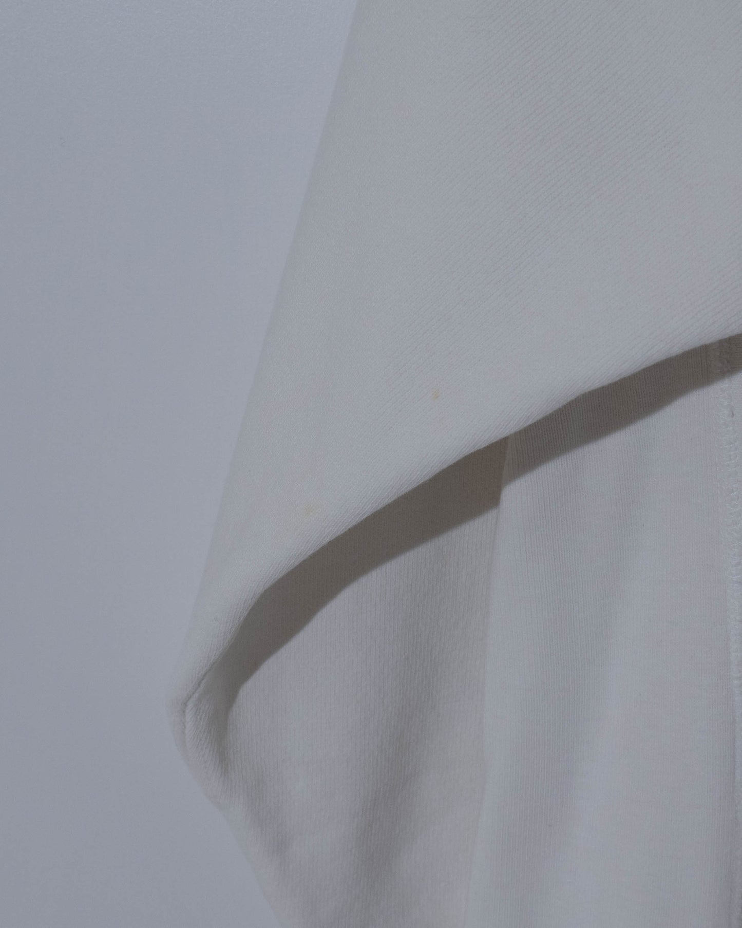 "Champion" REVERSE WEAVE college hoodie