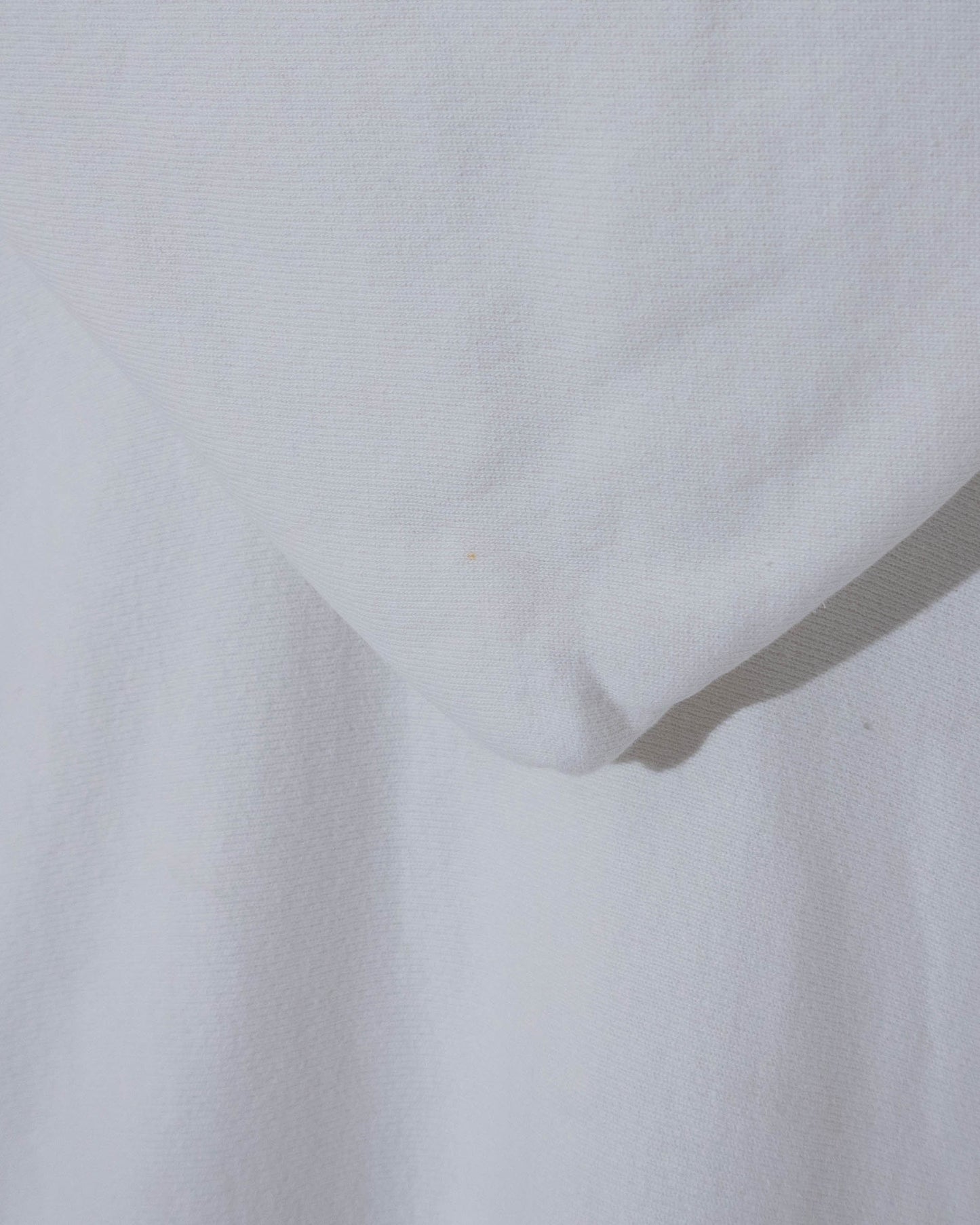 "Champion" REVERSE WEAVE college hoodie